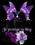 my-univers